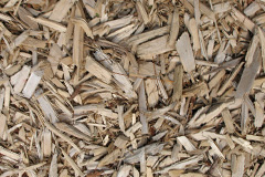 biomass boilers Rosenannon